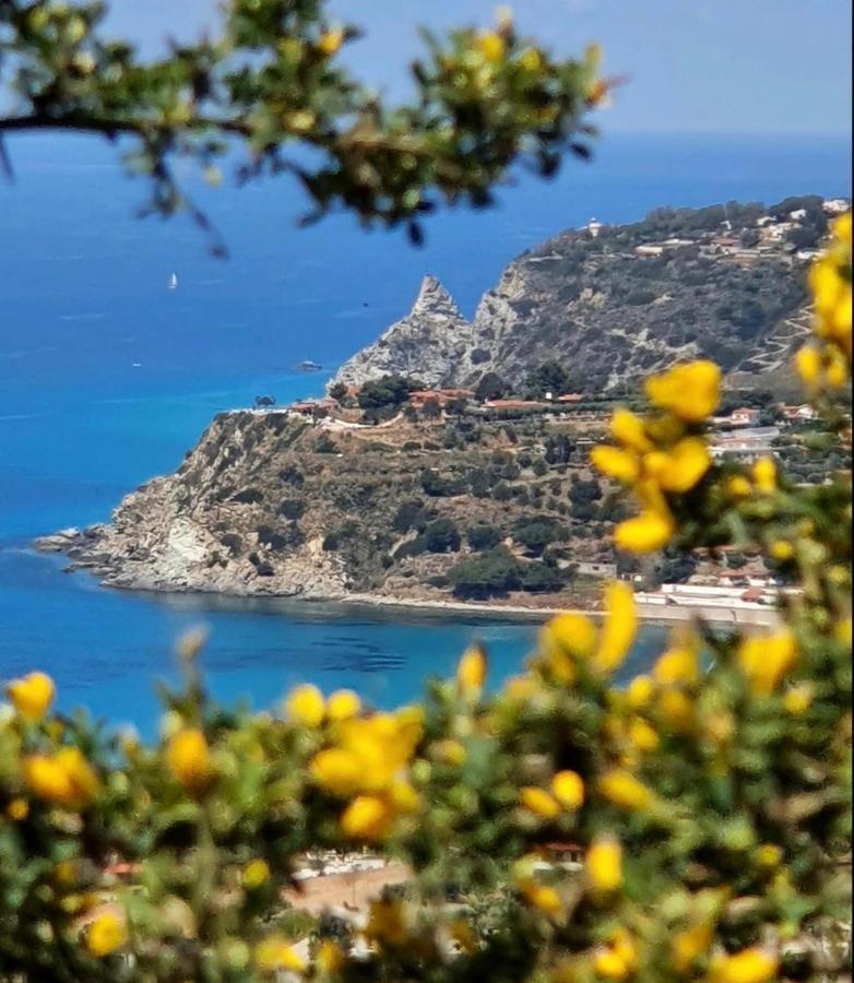 Il Giardino Di Capo Vaticano B&B And Apartments מראה חיצוני תמונה