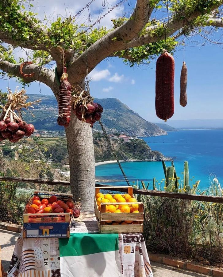 Il Giardino Di Capo Vaticano B&B And Apartments מראה חיצוני תמונה