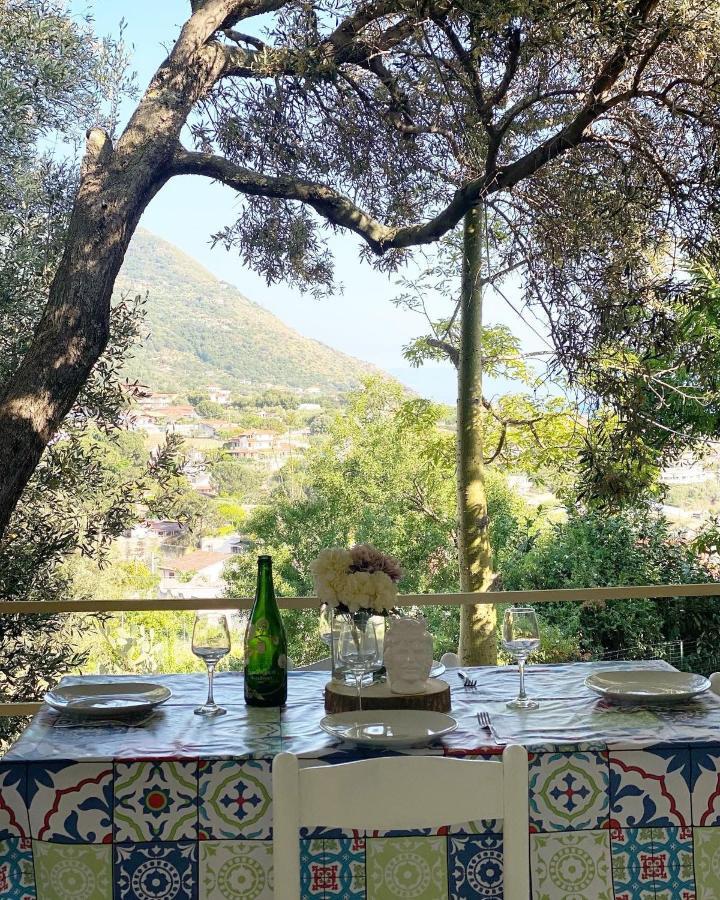 Il Giardino Di Capo Vaticano B&B And Apartments מראה חיצוני תמונה