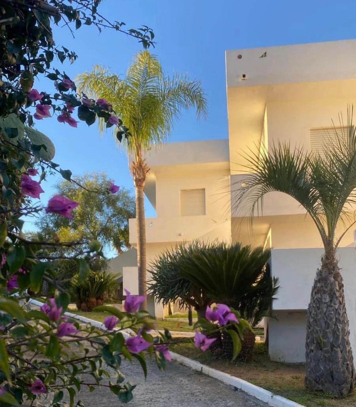 Il Giardino Di Capo Vaticano B&B And Apartments מראה חיצוני תמונה