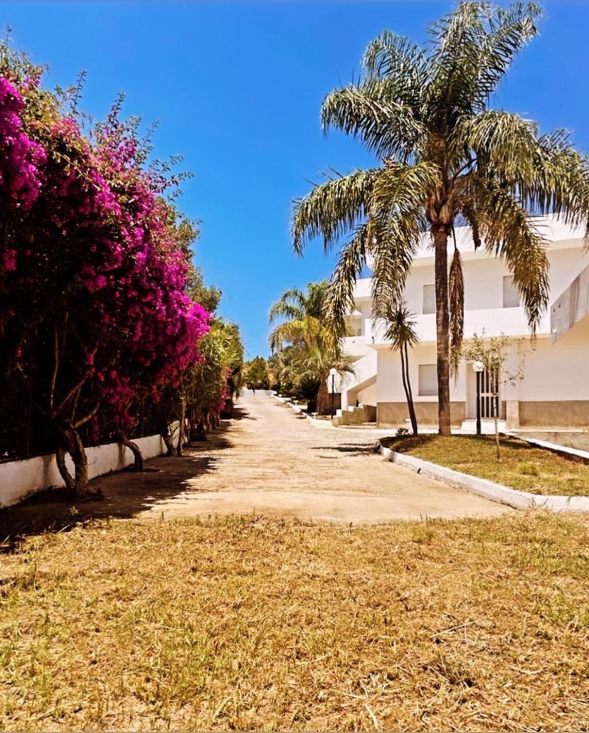 Il Giardino Di Capo Vaticano B&B And Apartments מראה חיצוני תמונה
