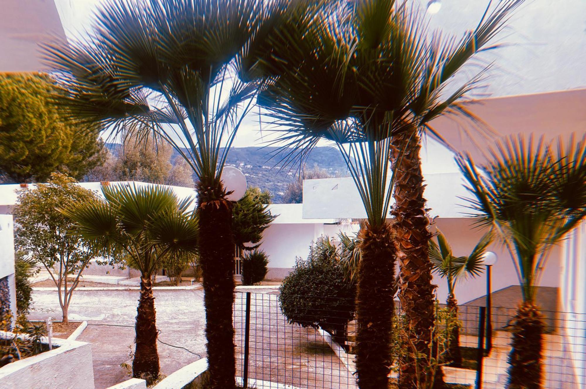 Il Giardino Di Capo Vaticano B&B And Apartments מראה חיצוני תמונה