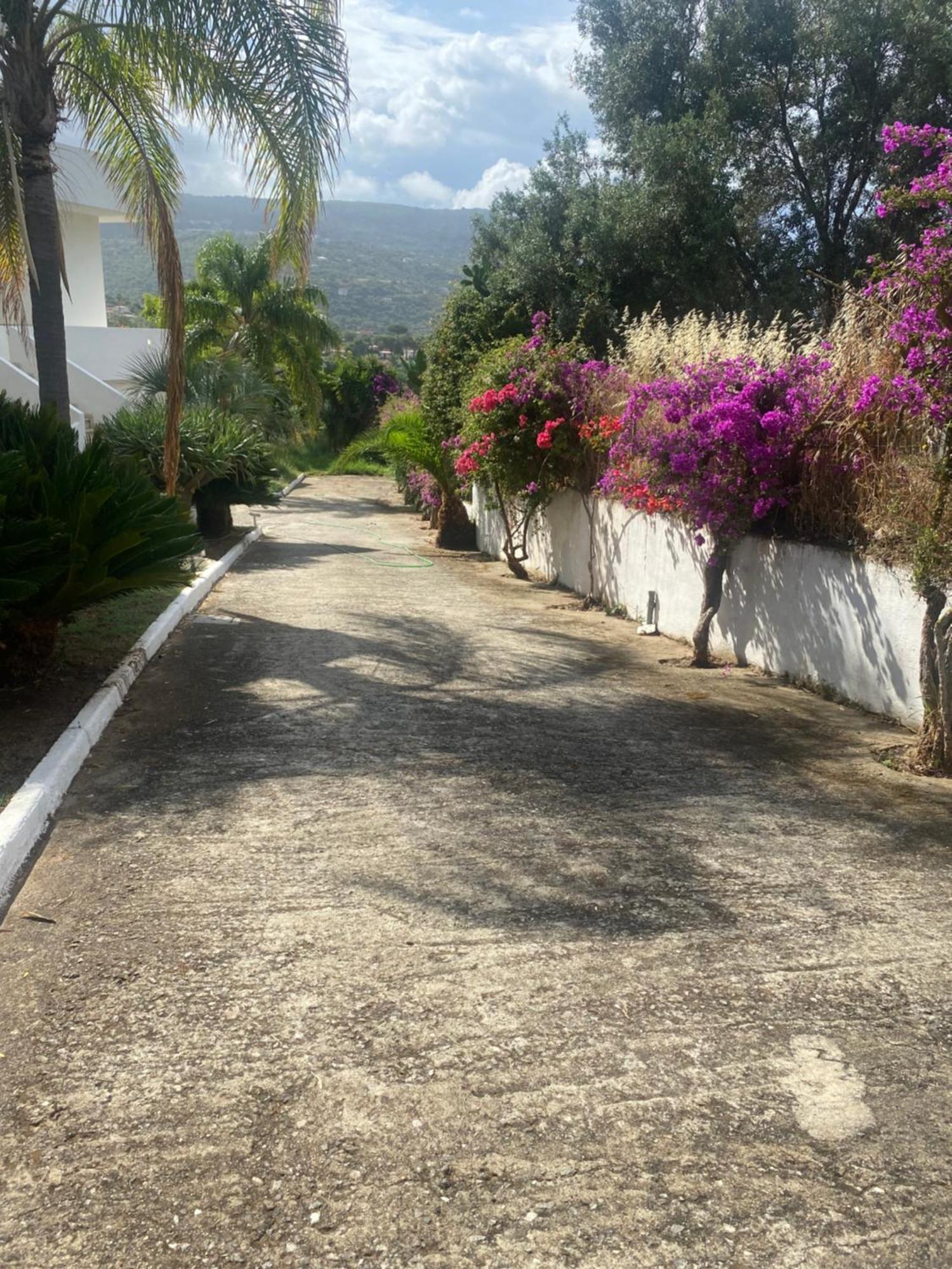 Il Giardino Di Capo Vaticano B&B And Apartments מראה חיצוני תמונה